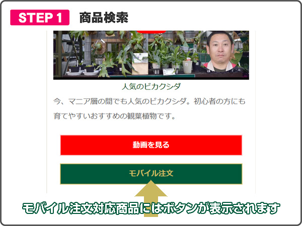 モバイルオーダーステップ１