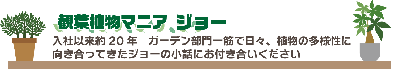 ジョージョーカイ