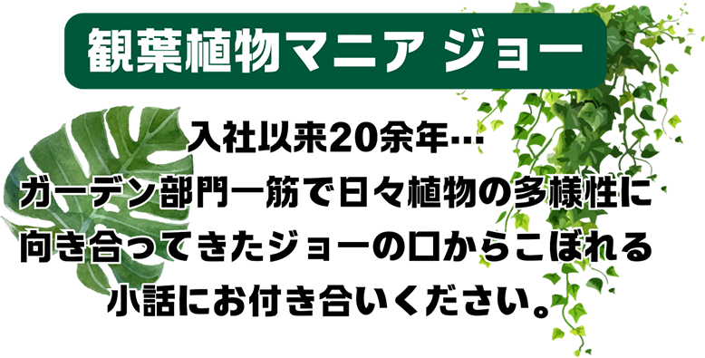 紹介