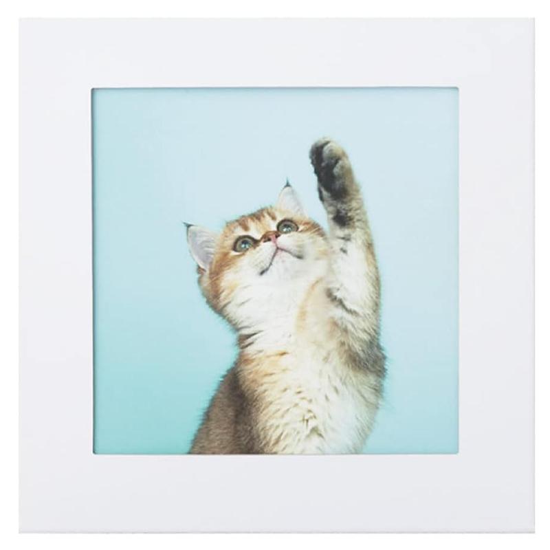 アートトワレ ねこ