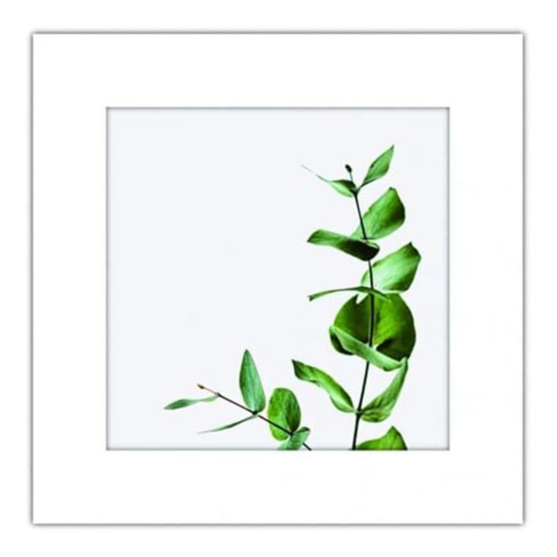 アートトワレ 観葉植物