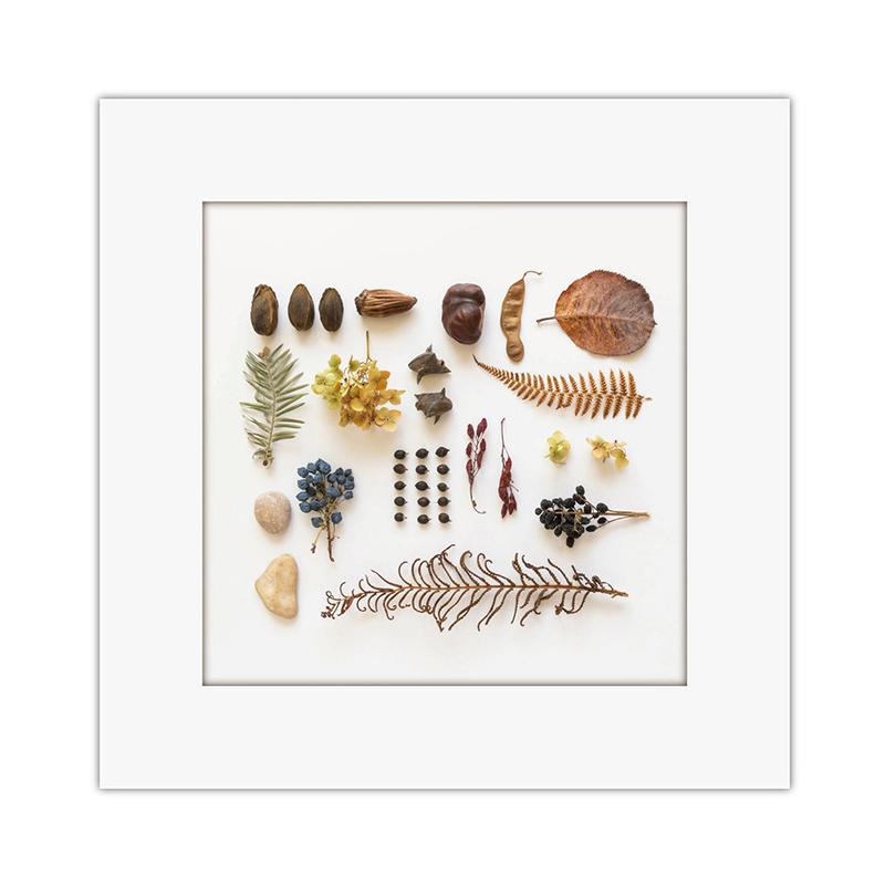 アートトワレ ネイチャークラフト