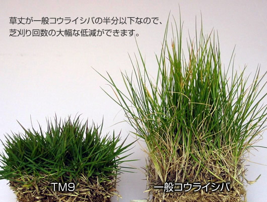 西村ジョイ アプリで注文取り置きサービス