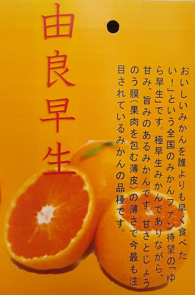 【みかんページ】 取り置き分 西村ジョイ アプリで注文取り置きサービス