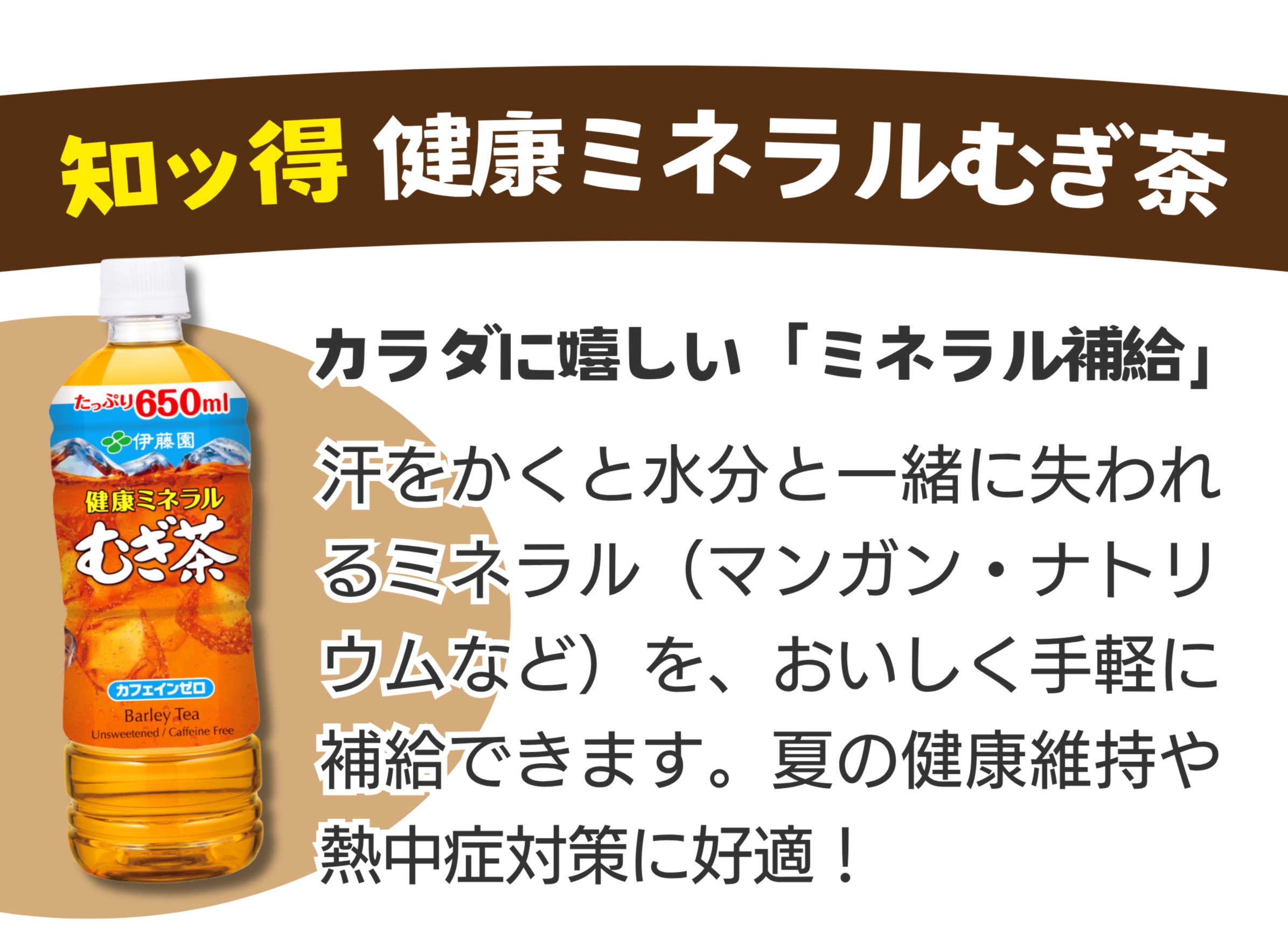 キャンペーン