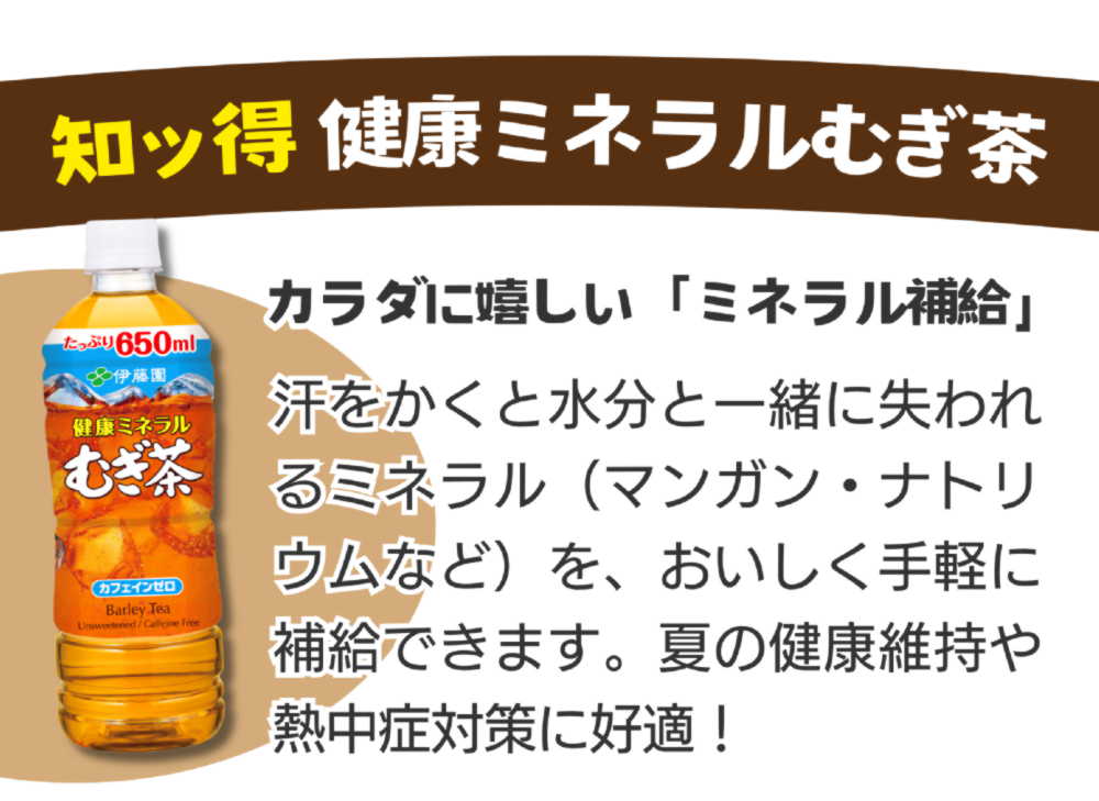 キャンペーン