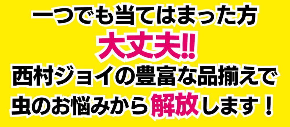 西村ジョイ