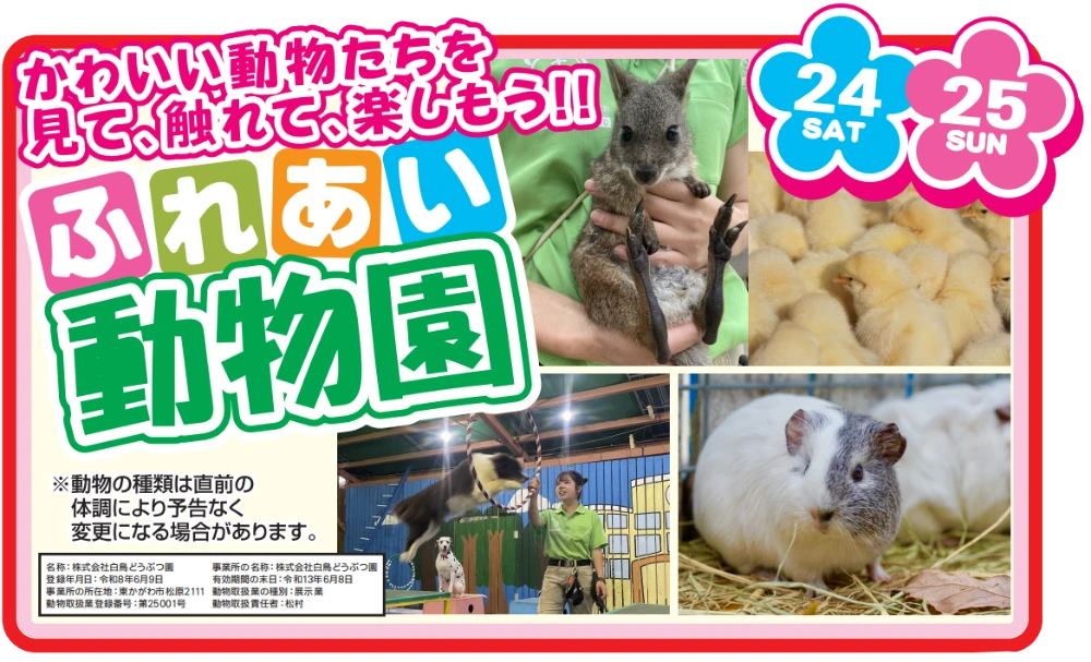 ふれあい動物園　白鳥どうぶつ園