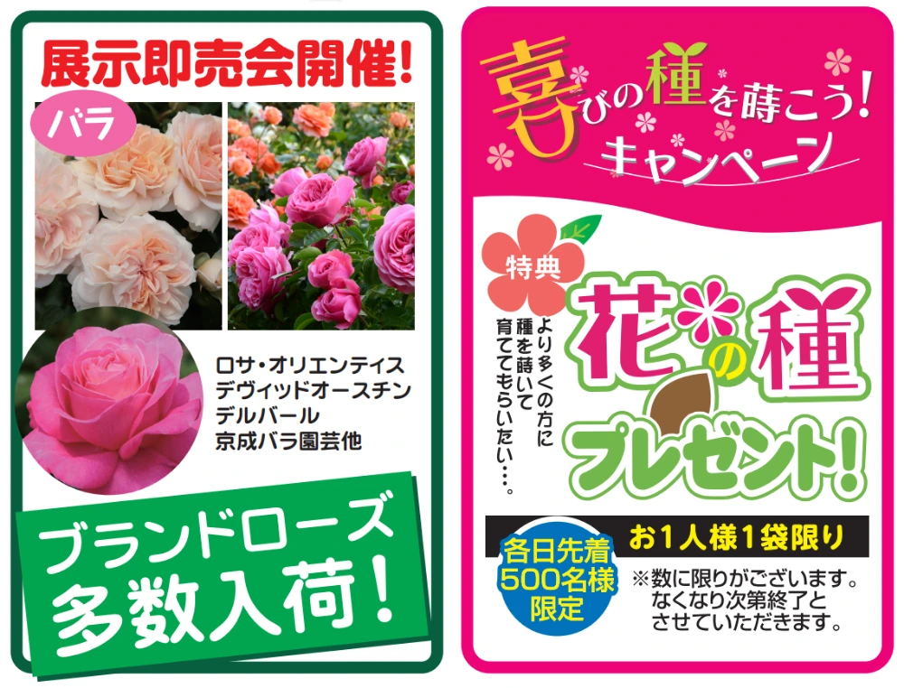 花の種プレゼント