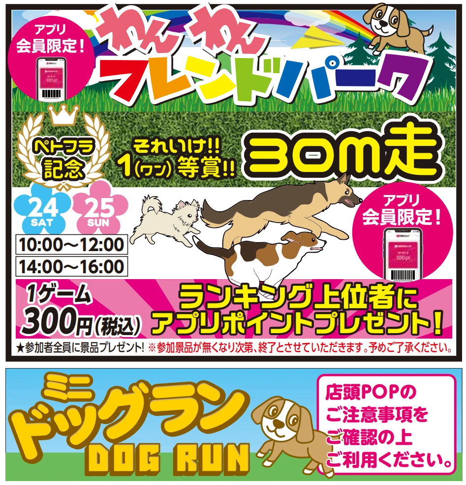 わんわんフレンドパーク３０ｍ走