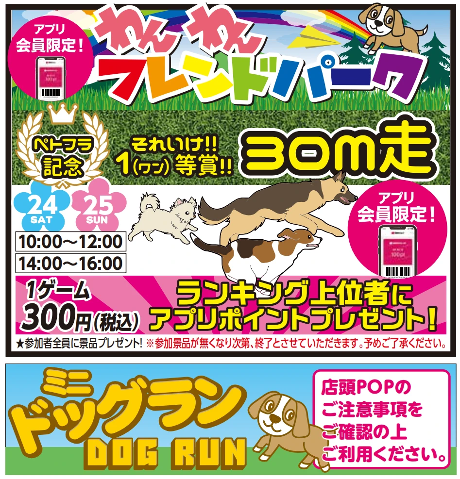 ミニドッグラン